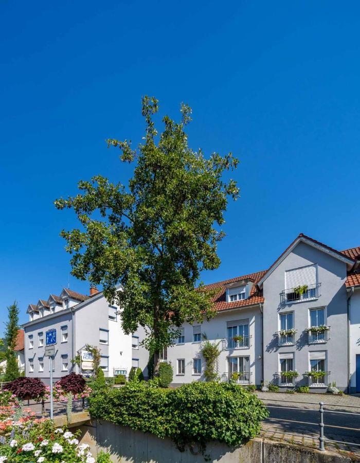Stadthotel Pfeffermuehle غينغنباخ المظهر الخارجي الصورة